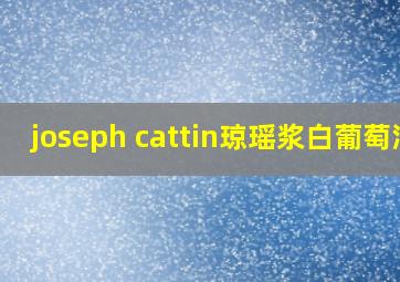 joseph cattin琼瑶浆白葡萄酒